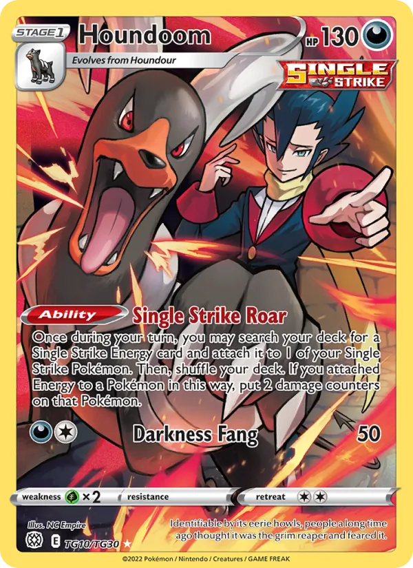 Houndoom — Brilliant Stars Trainer Gallery #TG10